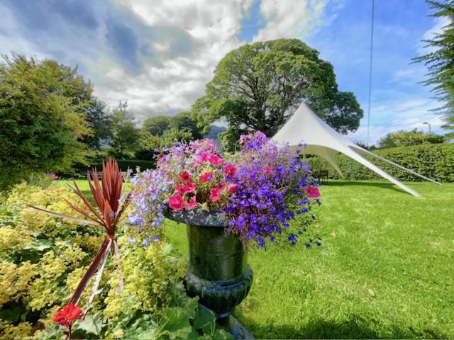 Ghan House Carlingford Exterior foto